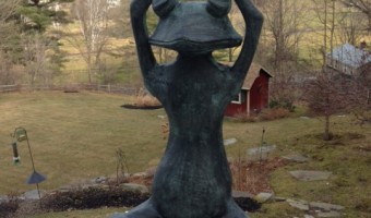 Zen Frog Speaks: The Whole World Belongs to You