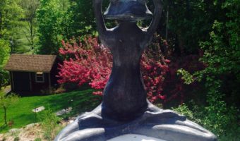 Zen Frog Speaks: The Magic of a Secret Garden
